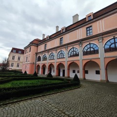 06